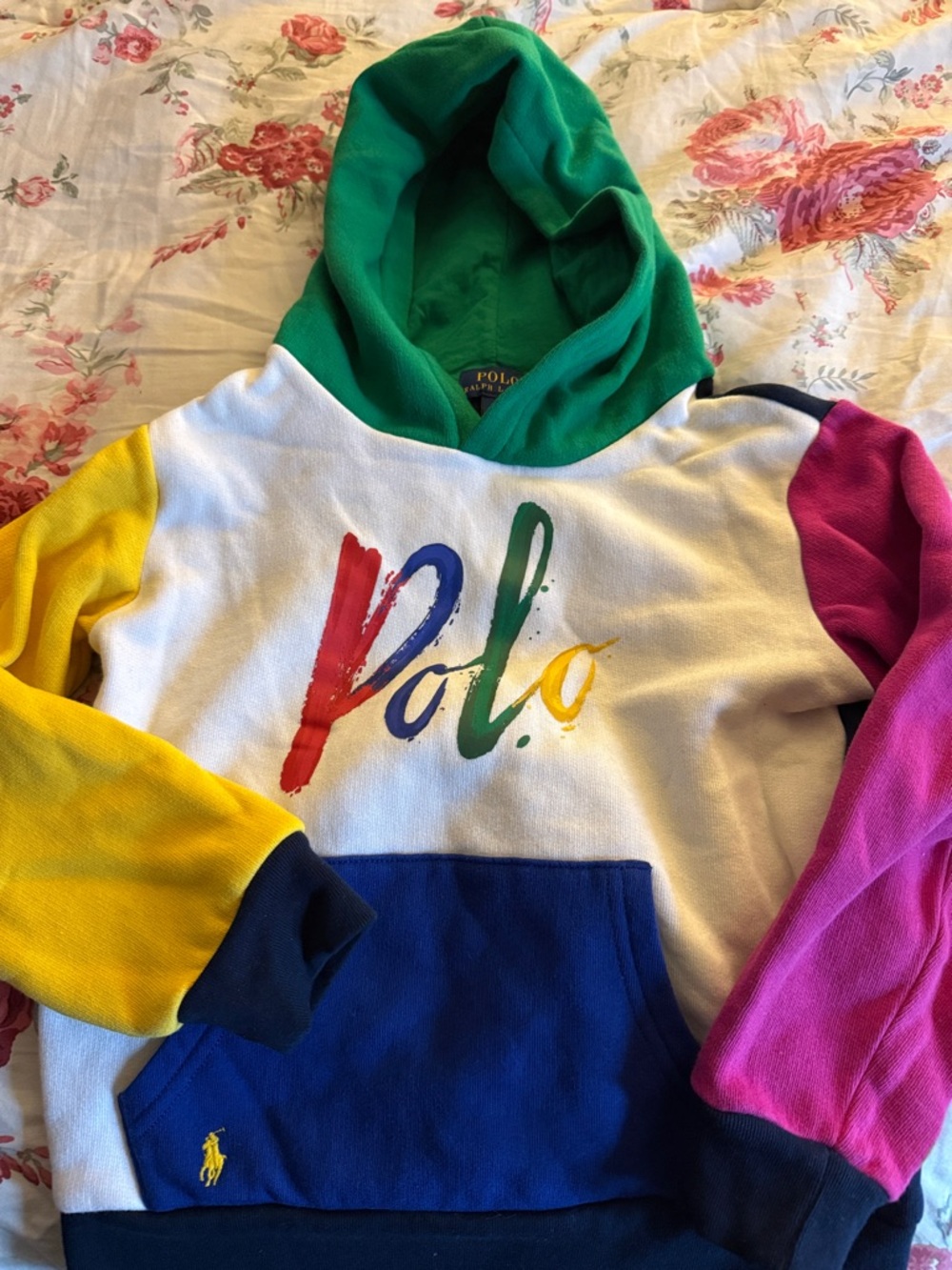 Polo Colorblock Hoodie Sweatshirt - Multi